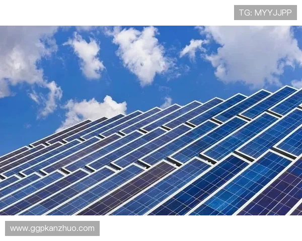 威龙国际：在国际市场中稳步扩展的品牌影响力与行业地位提升